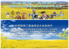 安徽枞阳打造“承恩故里”文化IP为何惹争议？