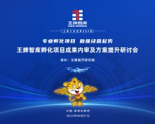 【294期】王牌智库孵化项目成果内审及方案提升研讨会